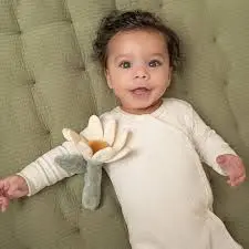 télécharger (4).webp