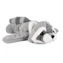 podcoll-raton-laveur-1-69a57508d2a99426077727.webp