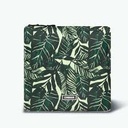 télécharger (32).jpg