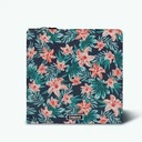 télécharger (26).jpg