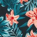 télécharger (29).jpg