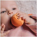 télécharger (91).jpg