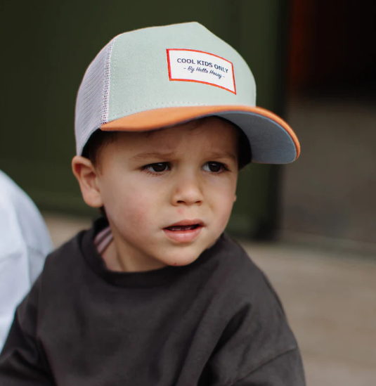 Capture d'écran 2025-02-16 124428.png