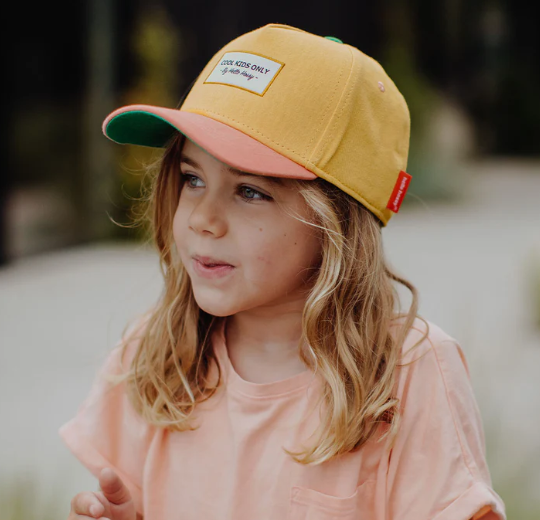 Capture d'écran 2025-02-16 121332.png