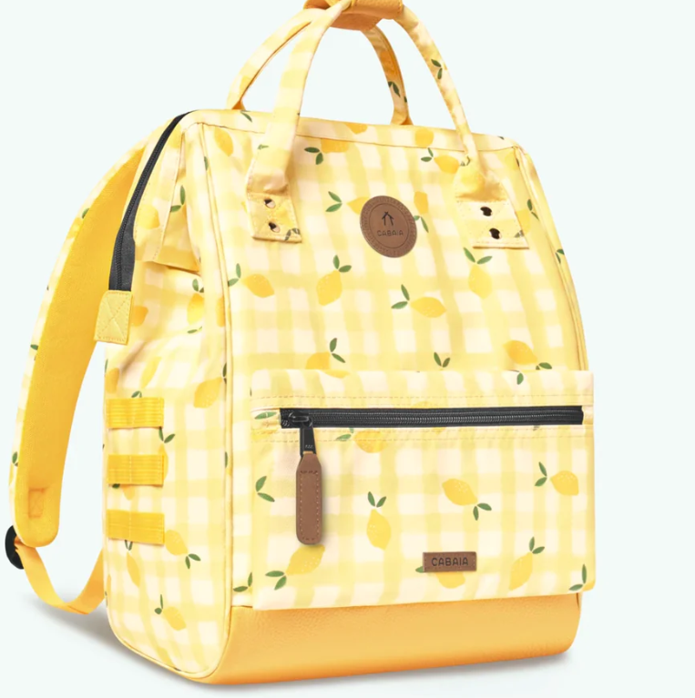 Capture d'écran 2025-01-31 100706.png