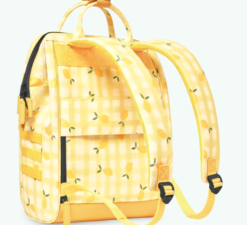 Capture d'écran 2025-01-31 100737.png