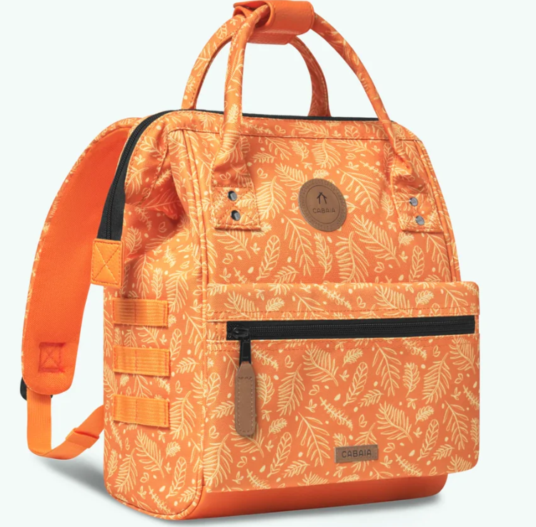 Capture d'écran 2025-01-31 114326.png