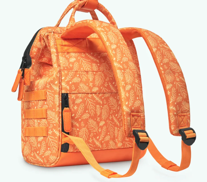 Capture d'écran 2025-01-31 114337.png