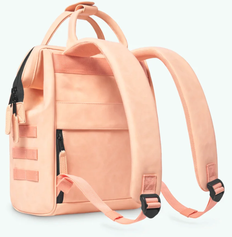 Capture d'écran 2025-01-31 205653.png