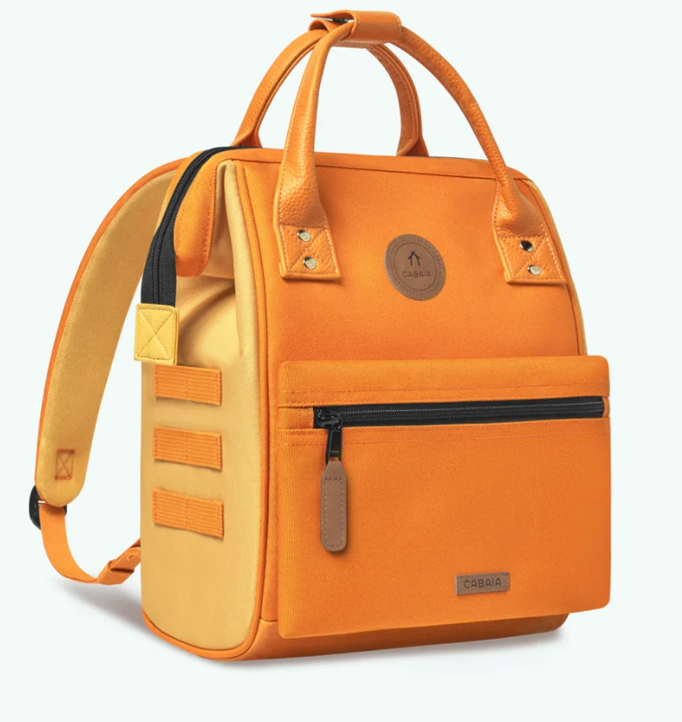 Capture d'écran 2025-01-31 205831.png