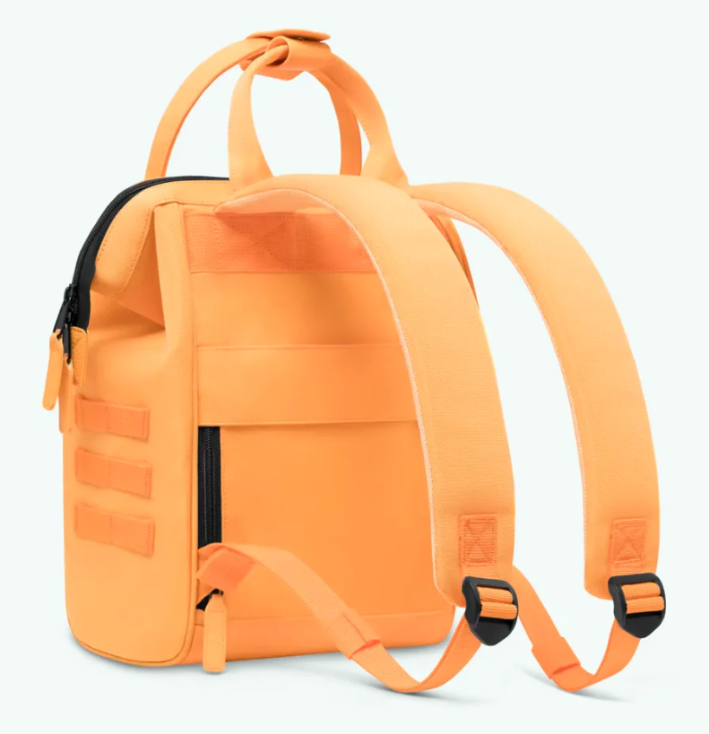 Capture d'écran 2025-07-03 114600.png