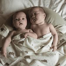 télécharger (51).jpg