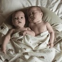 télécharger (51).jpg