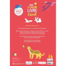 télécharger (15).jpg