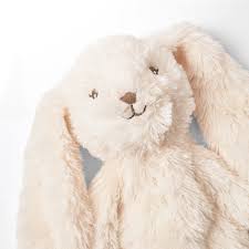 télécharger - 2025-11-05T164229.515.jpg