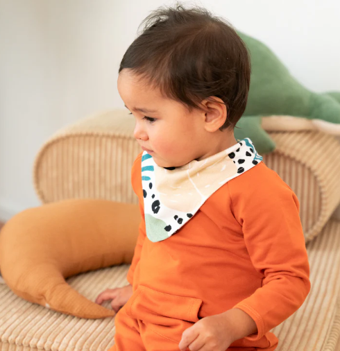 Capture d'écran 2024-10-12 104342.png