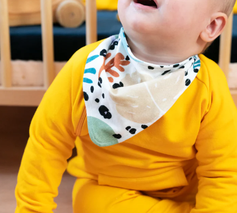 Capture d'écran 2024-10-12 104359.png