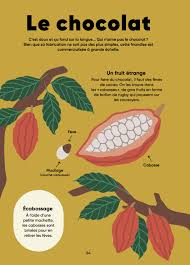 télécharger (61).jpg