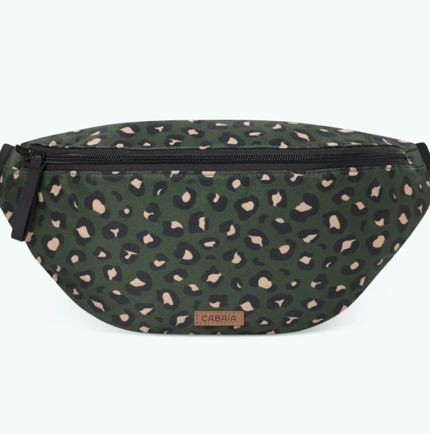 Capture d'écran 2025-02-01 002029.png