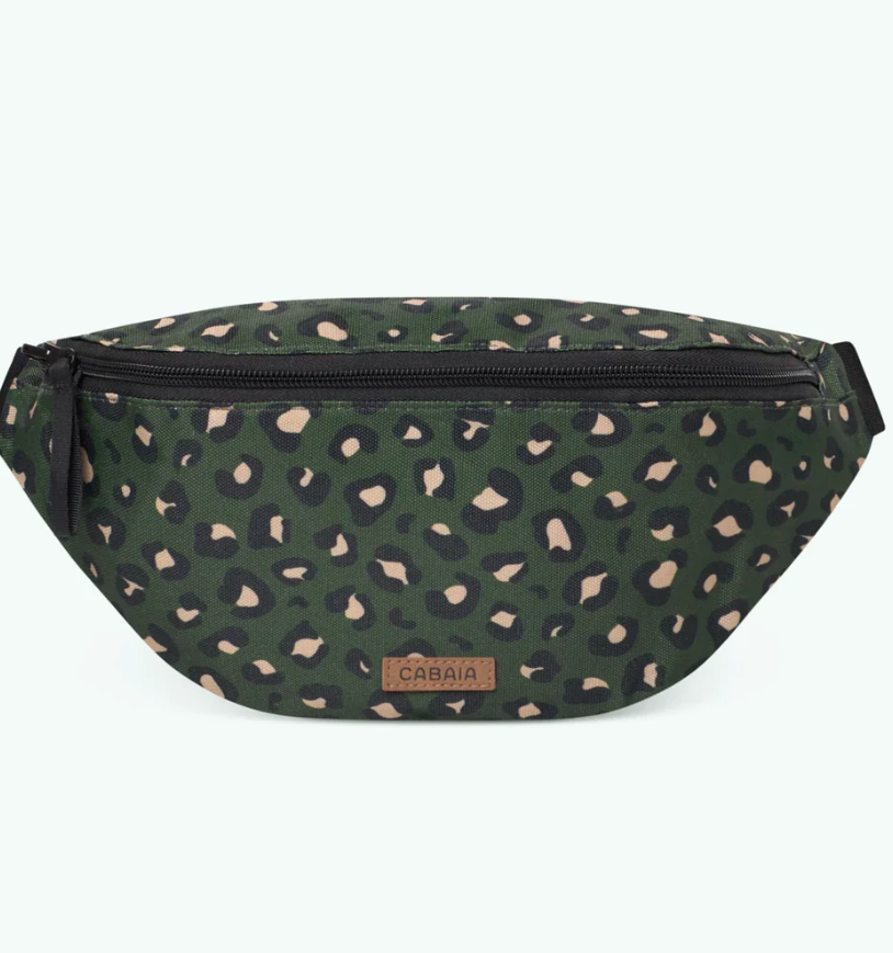 Capture d'écran 2025-02-01 000314.png