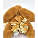 télécharger (3).jpg