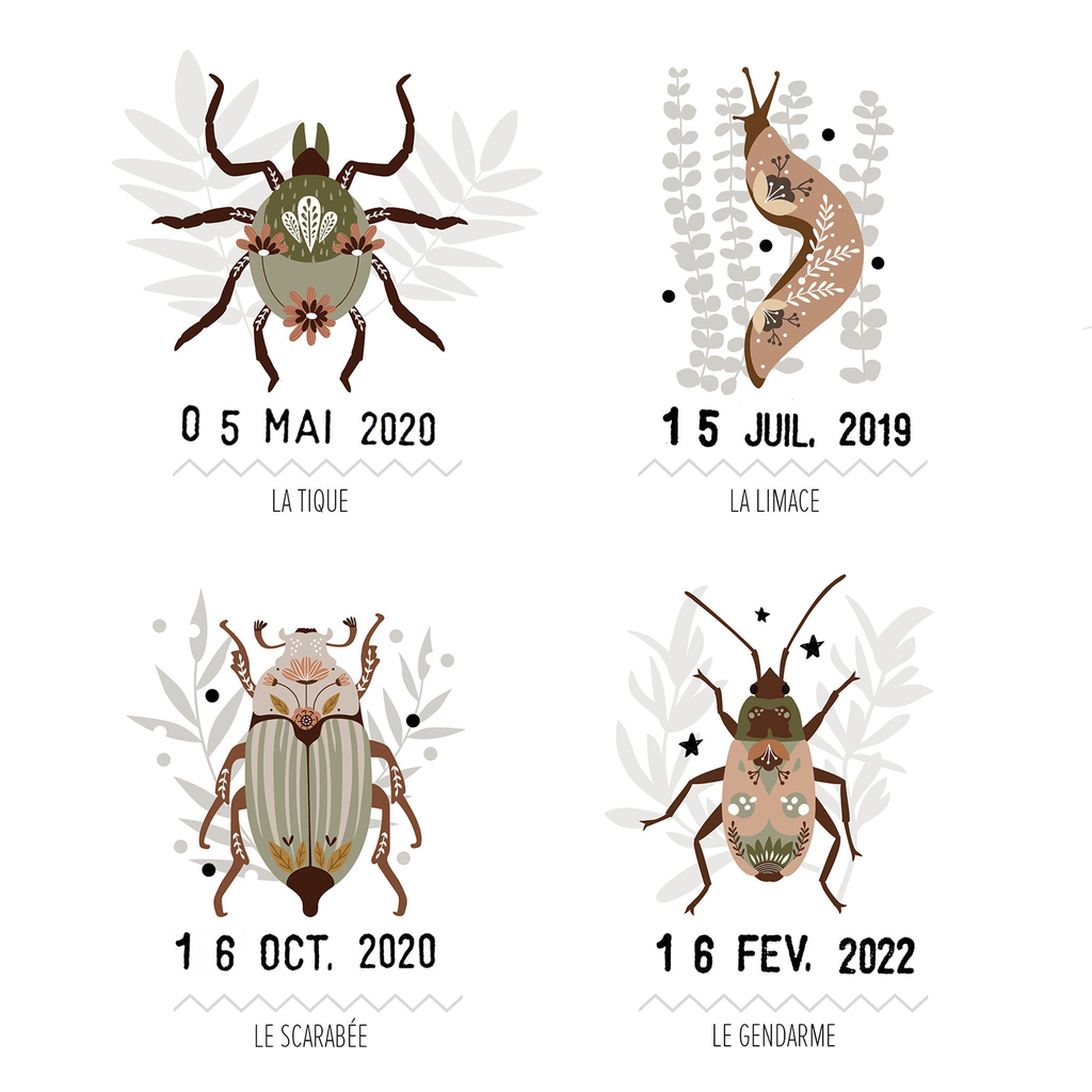 les-petites-betes-du-jardin (3).jpg