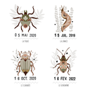 les-petites-betes-du-jardin (3).jpg