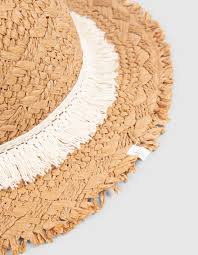 télécharger - 2024-03-12T141515.339.jpg