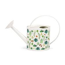 télécharger (18).jpeg