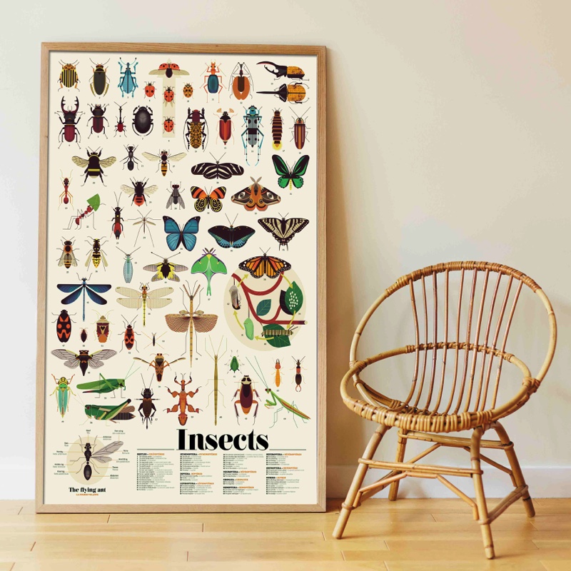 Jeu-educatif-Poppik-Puzzle-Stickers-Autocollants-affiche-insectes-2.jpg