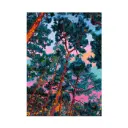 Puzzle 1000 pièces "Sound of silence" 