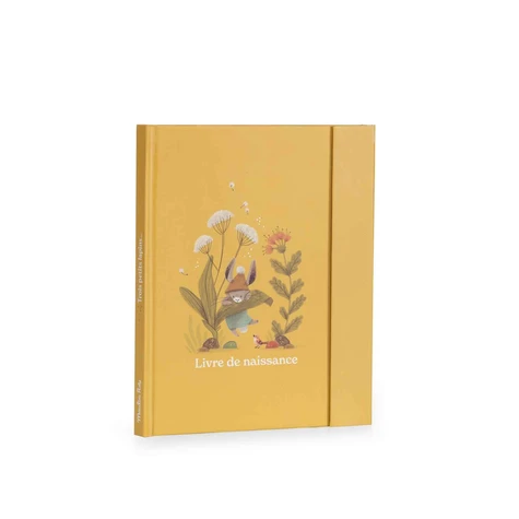 Livre de naissance "Trois petits lapins"