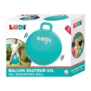 Ballon sauteur XXL
