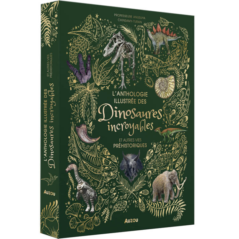 Livre "L'anthologie illustrée des dinosaures incroyables et autres vie préhistoriques"