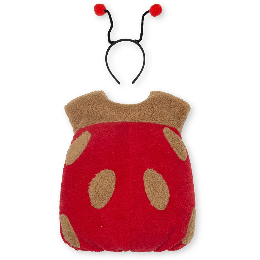 Costume de coccinelle