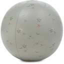 Ballon de plage