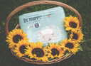 Couche "BeNappy" junior (taille 5)