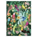 Poster "Rain forest birds" 50x70cm