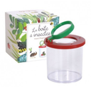 La boîte à insectes