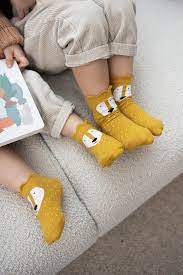 [TRI42-94042-94142-942] Pack de 2 paires de chaussettes hautes lion