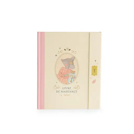 [MR667085] Livre de naissance "La petite école de danse"