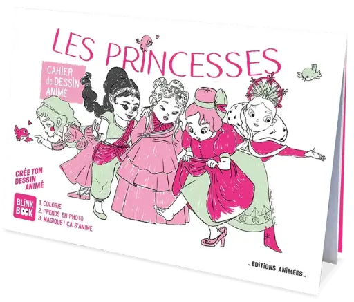 [ANILESPRINCESSES] Cahier de dessin animé (BlinkBook) "Les princesses"